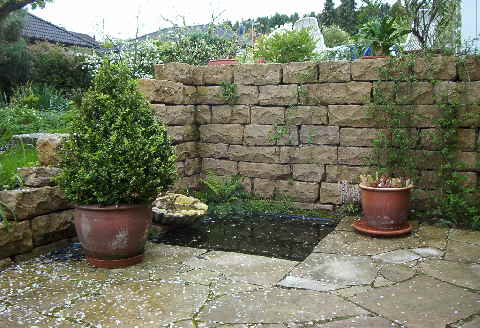 Hausgartendetail in Hildesheim